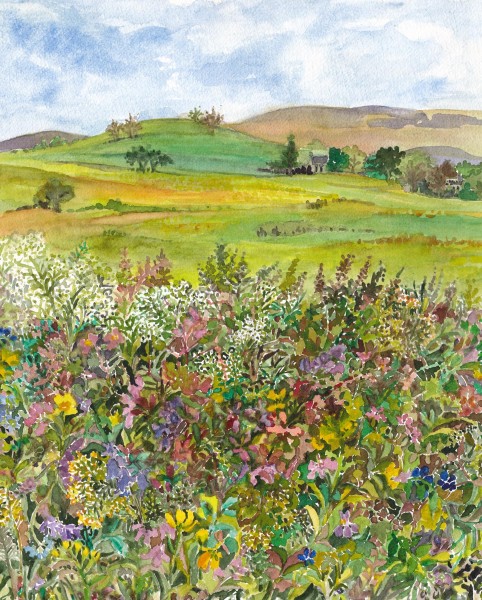 HedgerowsDave